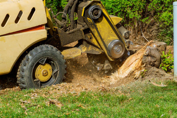 Lawn Drainage Solutions in Pioneer, OH